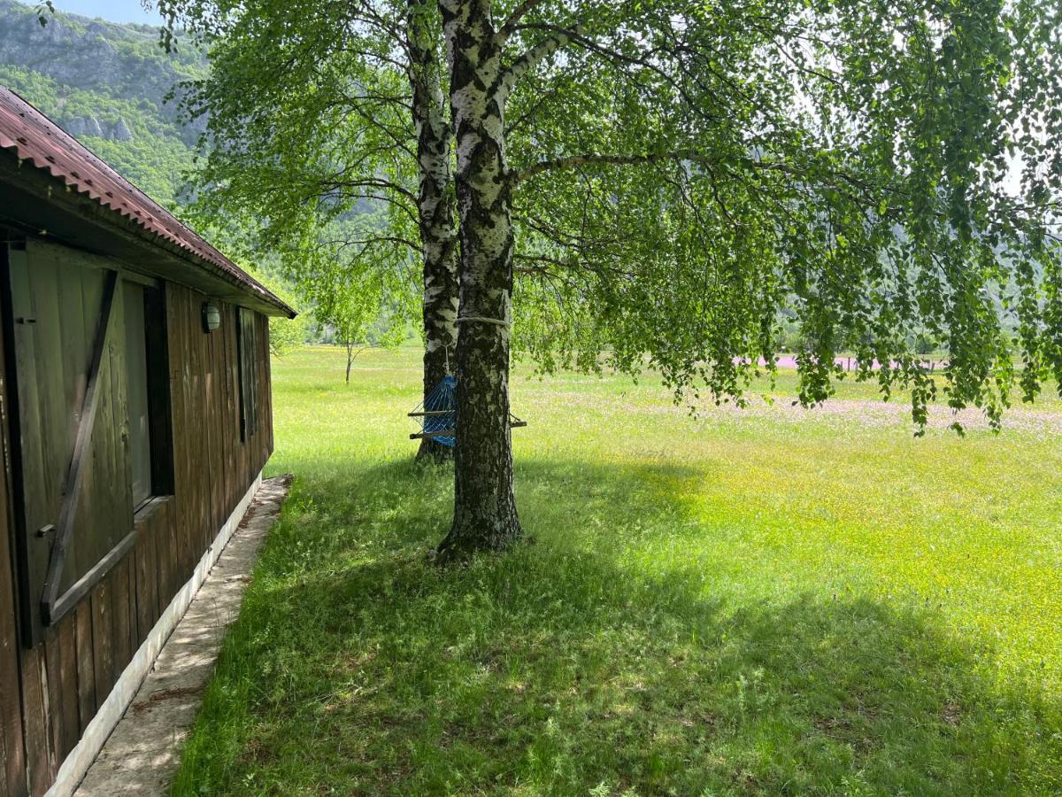 Mountain Cottage Komarnica Savnik Екстер'єр фото