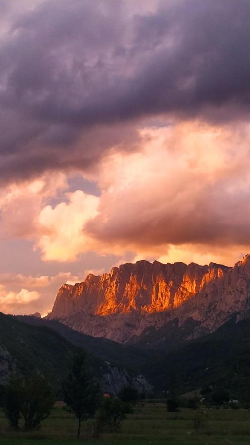Mountain Cottage Komarnica Savnik Екстер'єр фото